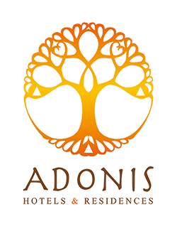 cas-client-adonis